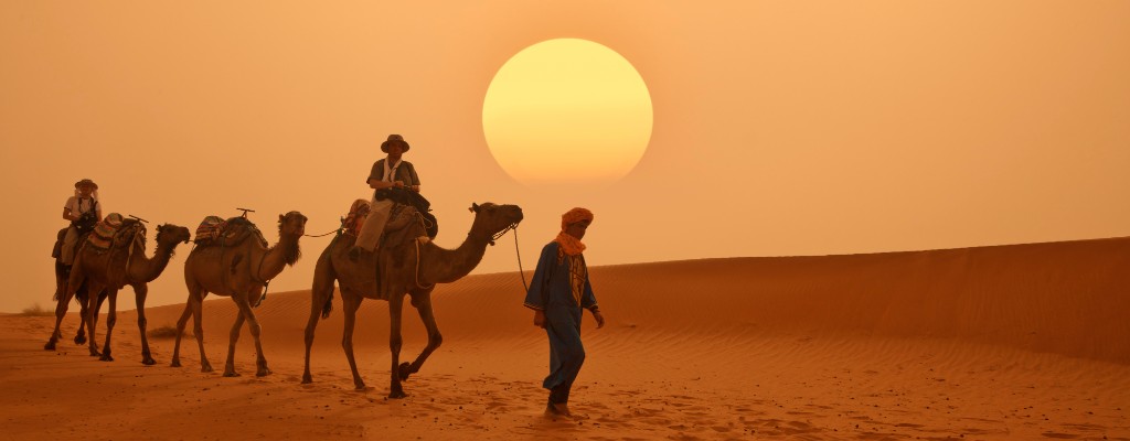 Caravana de camellos al atardecer en el desierto